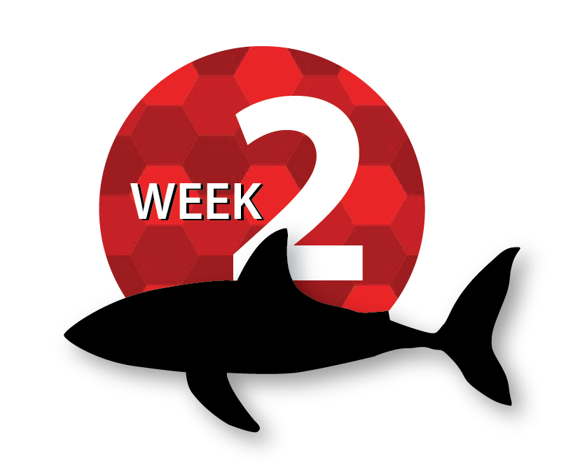 Asset 10@2x